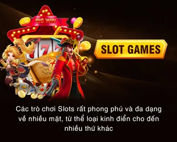 Chương trình VIP LC88